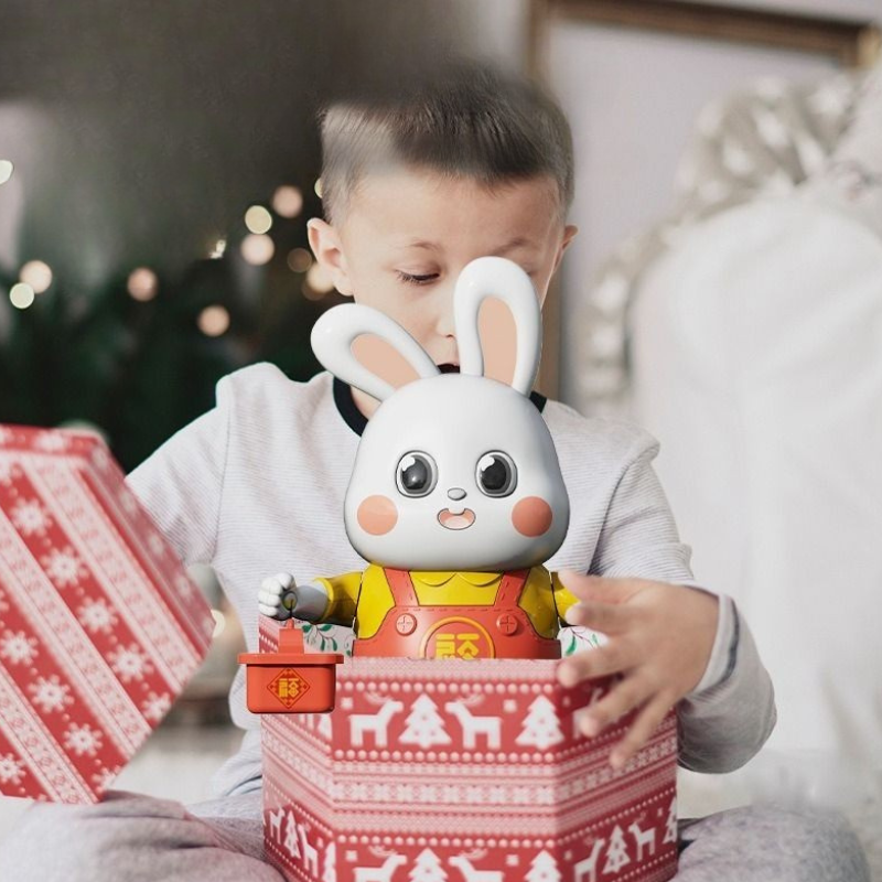 Dancing Rabbit Robot